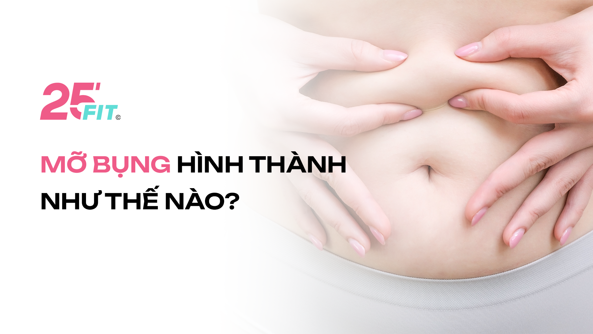 Mỡ bụng hình thành như thế nào?