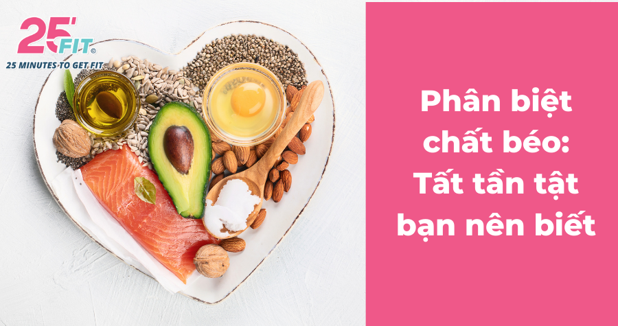 Các loại chất béo trong thực phẩm: nên ăn và tránh loại nào?