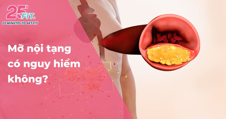 Mỡ nội tạng là gì? Tập thể dục có loại bỏ được không?