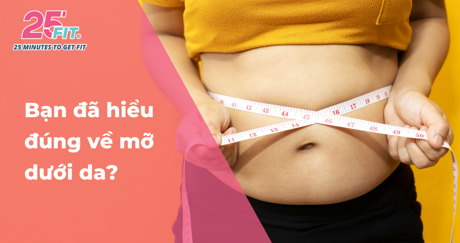 Mỡ dưới da là gì? Có phải chỉ có hại sức khỏe?