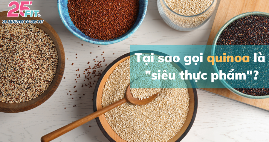 Quinoa: một trong những loại ngũ cốc lành mạnh nhất thế giới