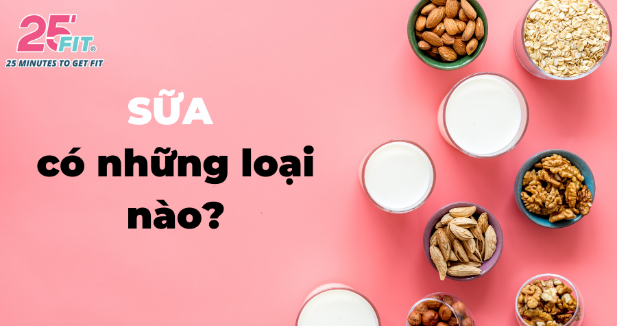 Sữa có những loại nào? Sự thật về sữa bạn nhất định phải biết