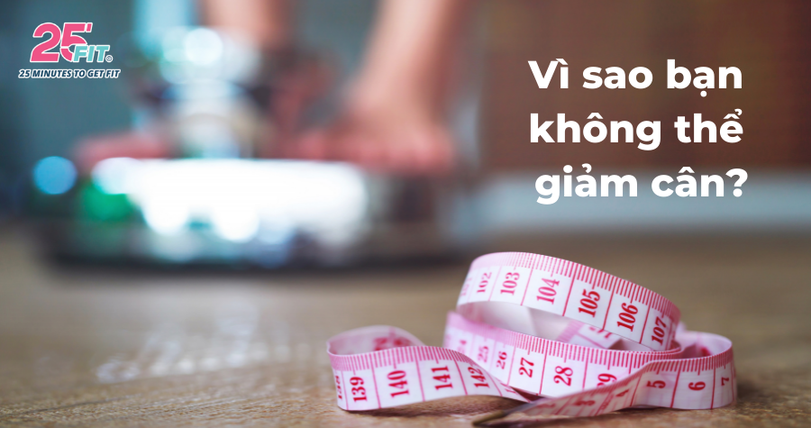 Vì sao bạn không thể giảm cân?